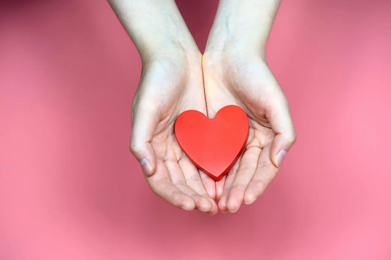 Hands held in a gesture of comfort and support