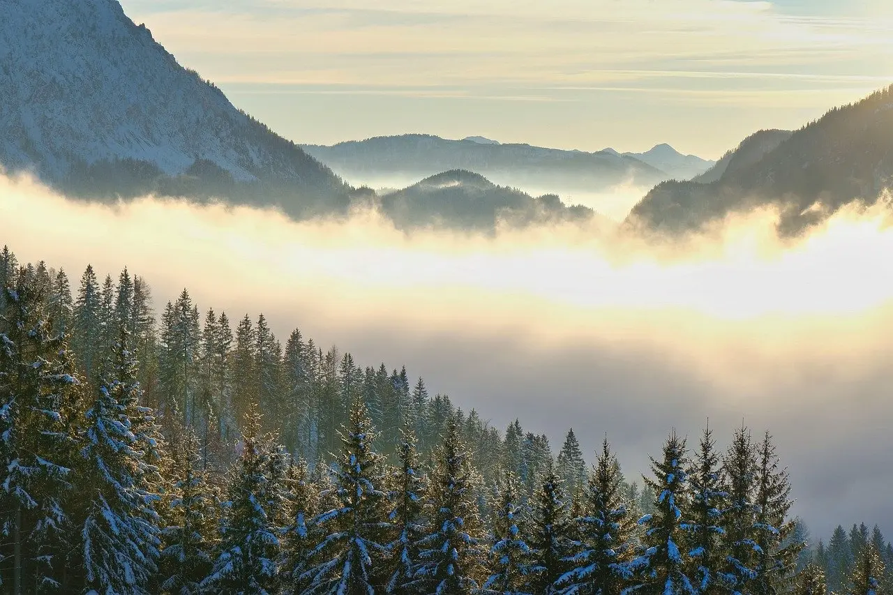 OCD Specialist Near Me