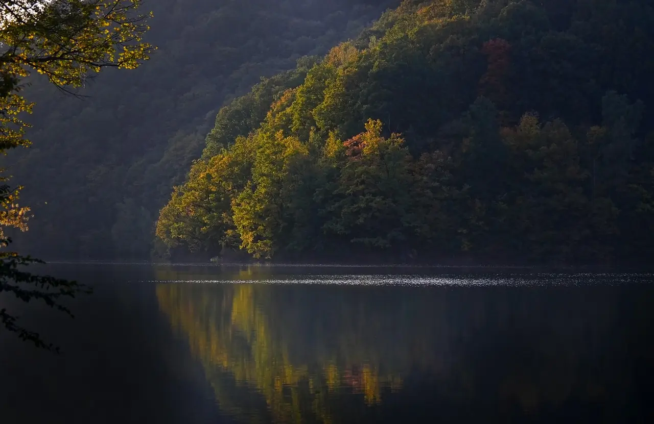 Evening & Weekend Psychiatrist Orlando