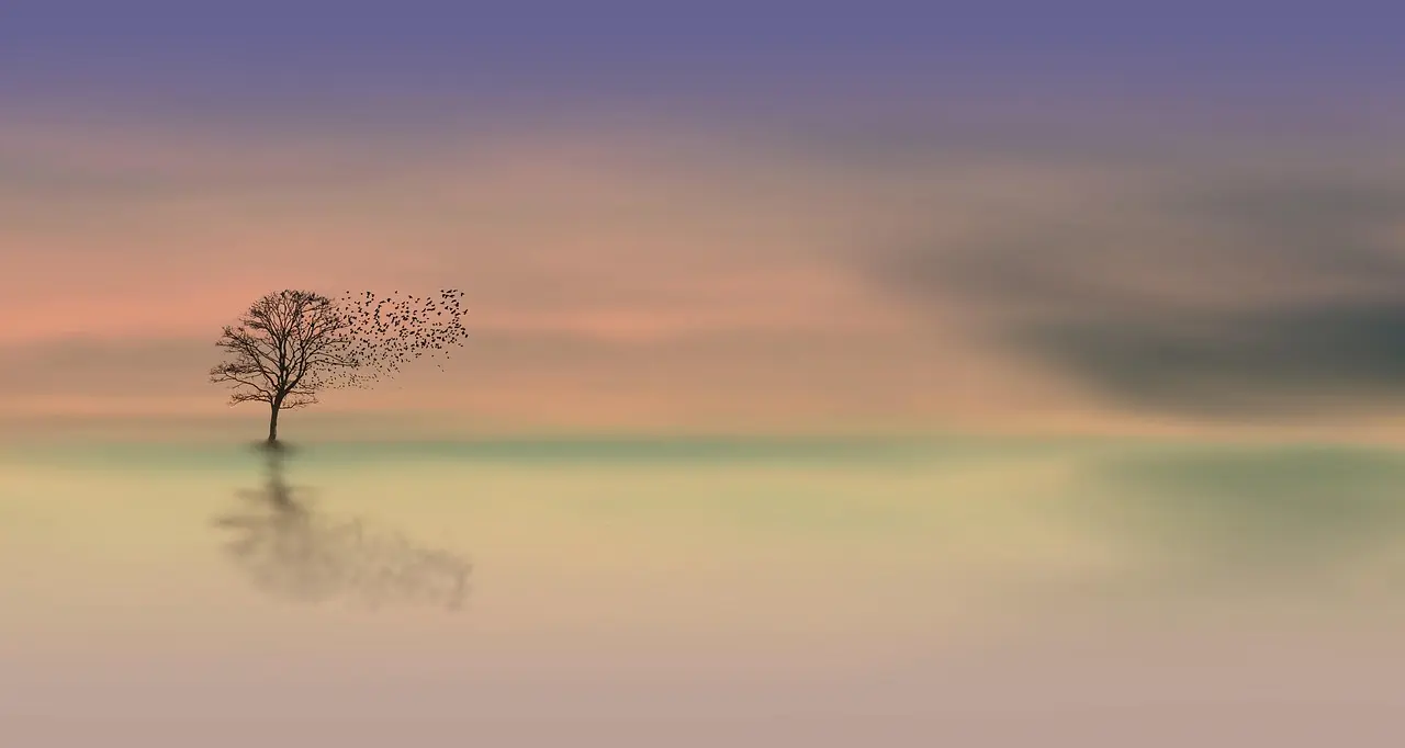 A peaceful natural scene supporting calm and reflection
